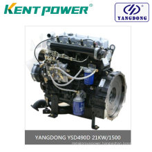 Yangdong Diesel Engine Yangdong Ysd490d 21kw for Sale